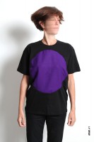 https://www.studiodaubal.com:443/files/gimgs/th-25_pu another sun daubal 05.jpg